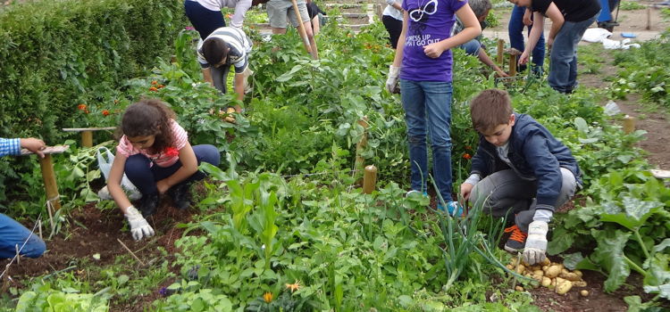 personen in moestuin