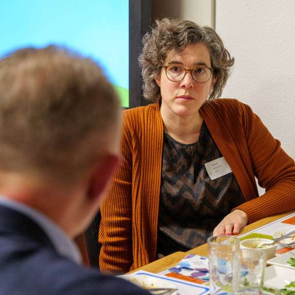 Klik voor grotere afbeelding