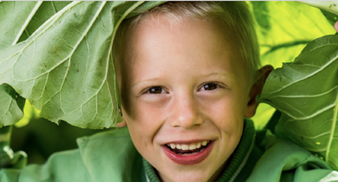 Inspiratiewebinar Voedseleducatie voor de Kinderopvang