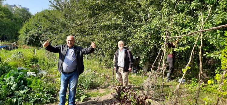 man in moestuin