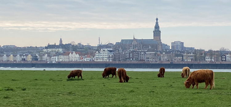 Spiegelwaal uitzicht