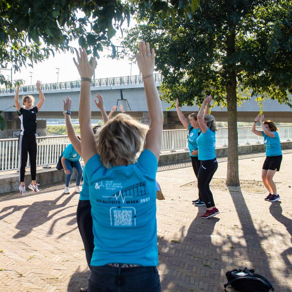 Klik voor grotere afbeelding